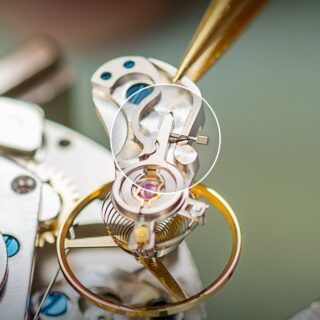 Detailbild Rückerzeiger in der Spechthalsfeinregulierung.