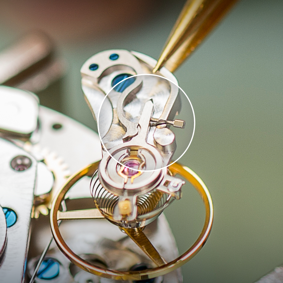 Particularly robust Woodpecker neck regulation MühleGlashütte