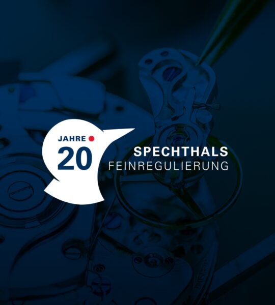 Logo zum 20 jährigen Jubiläum der Spechthalsfeinregulierung (ein Spechtkopf mit einem Schriftzug).